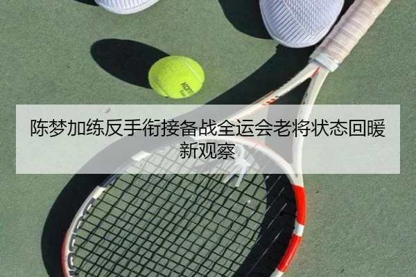 陈梦加练反手衔接备战全运会老将状态回暖新观察（MKSPORTS）